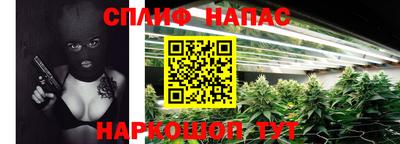 спайс Малгобек