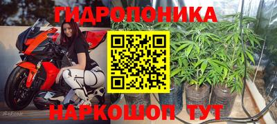 спайс Малгобек